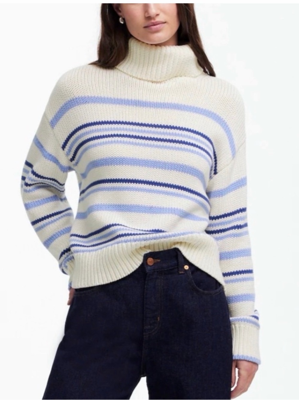 Madewell Cream and Blue Striped Turtleneck Sweater